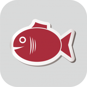 Εξοπλισμός ιχθυοπωλείου