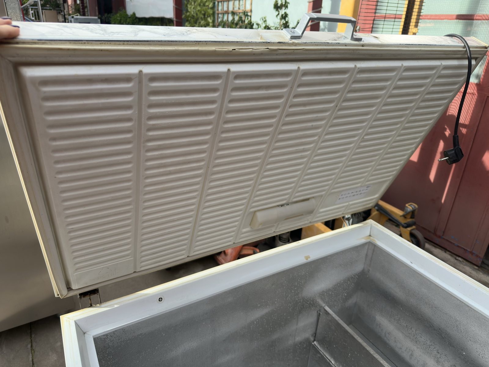 viber_image_2026-02-03_12-45-00-335